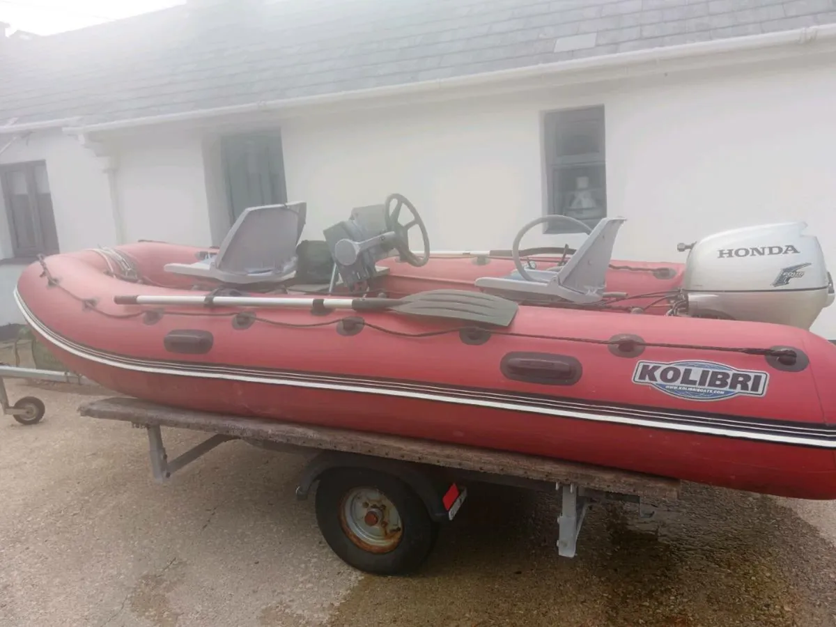 Rib for sale - Image 4