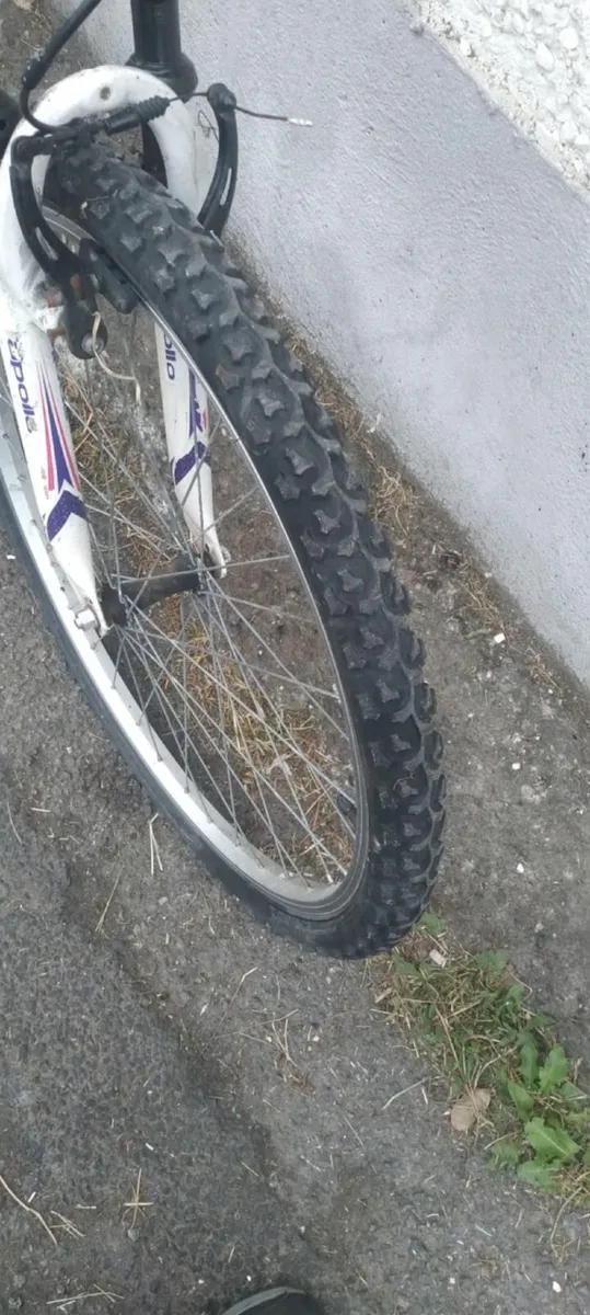26inch bike price too sell - Image 2