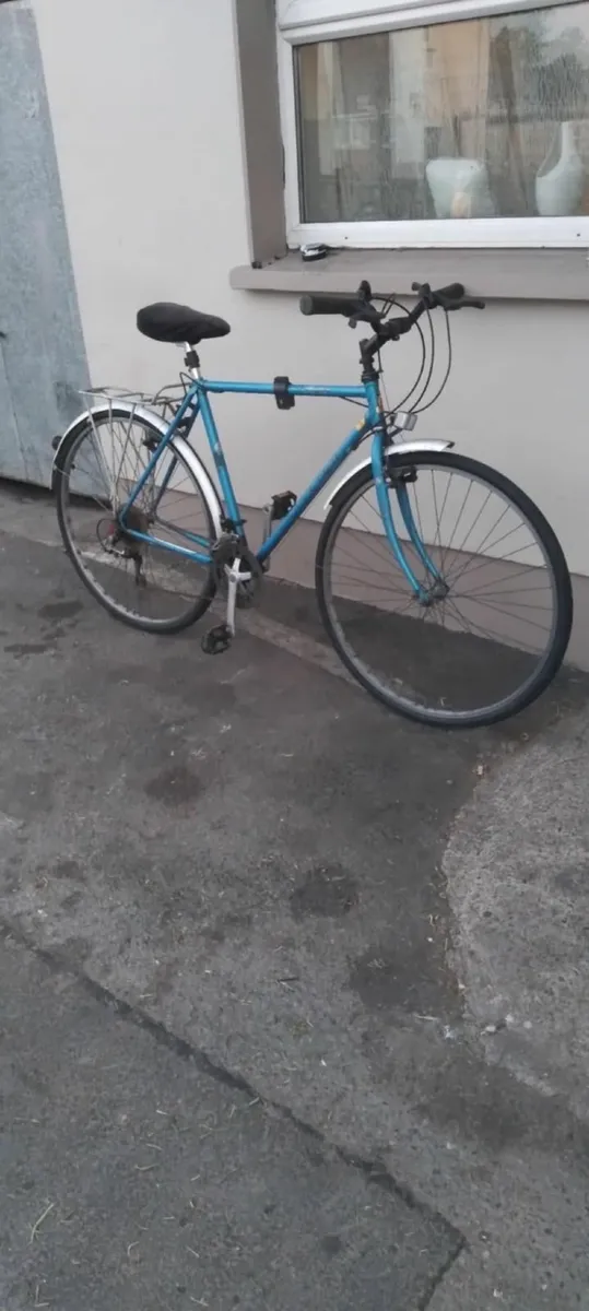 Raleigh 28inch bike read add - Image 1