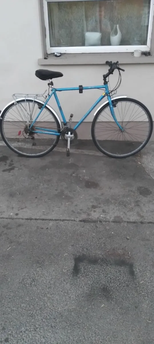 Raleigh 28inch bike read add - Image 2