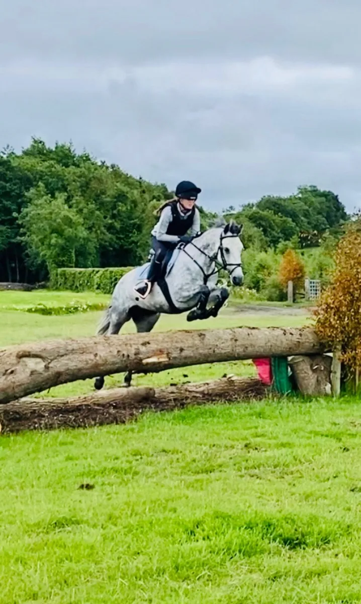Pony Clubber - Image 2