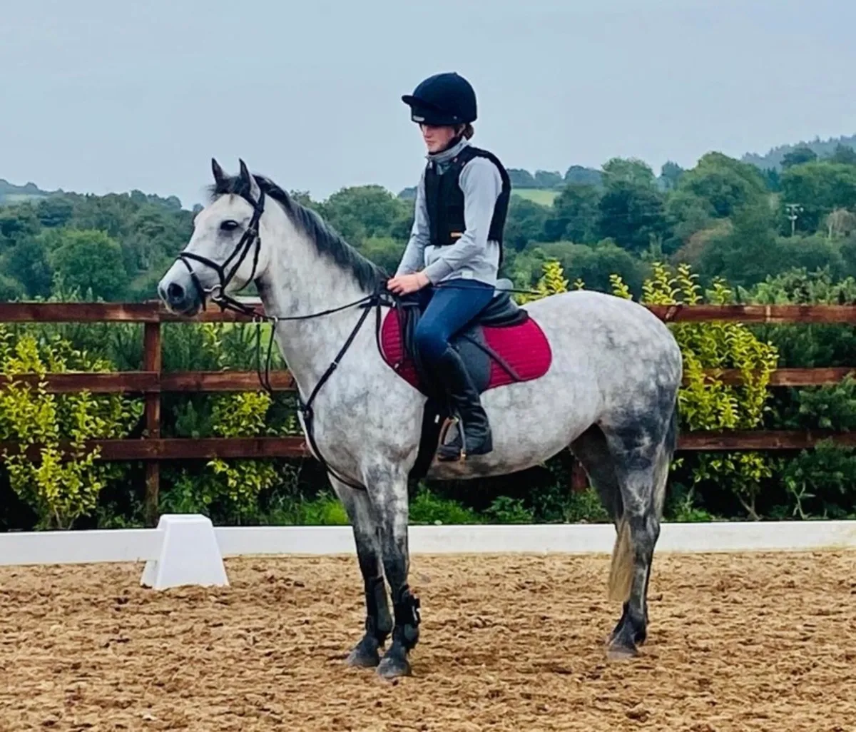 Pony Clubber - Image 1