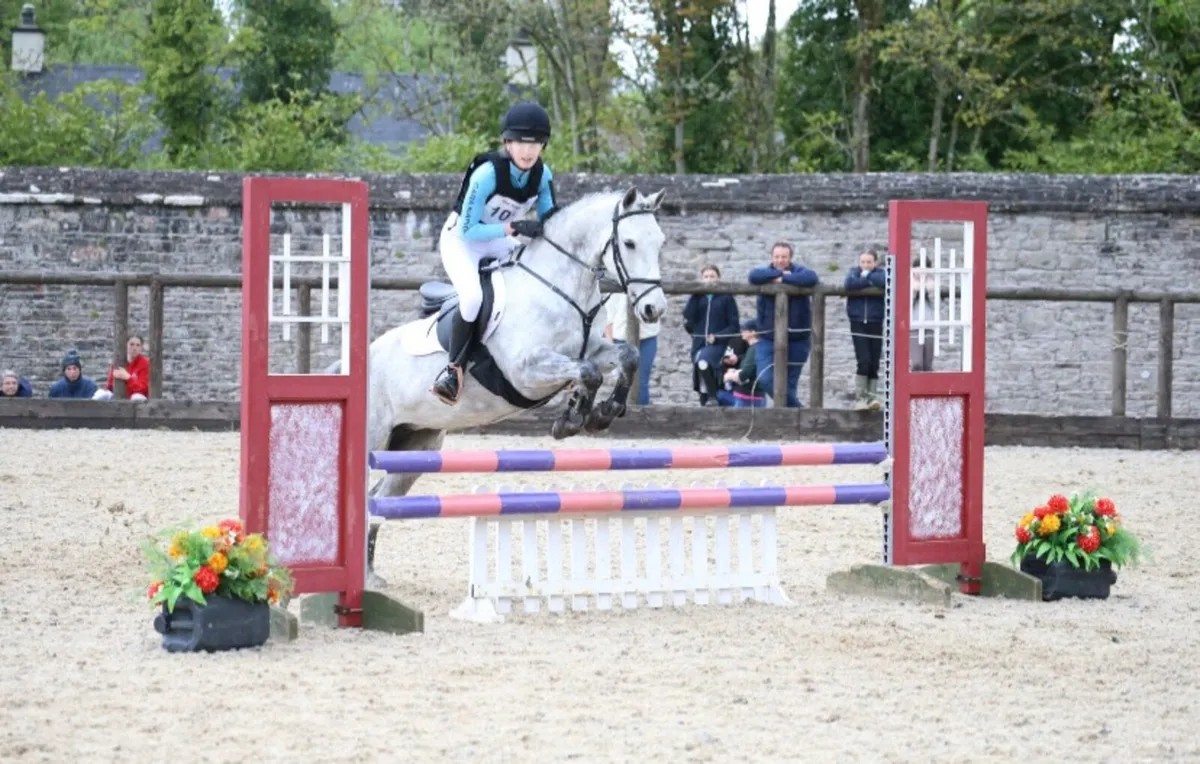 Pony Clubber - Image 3