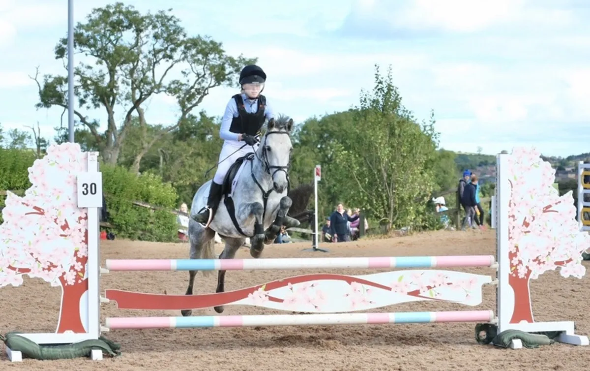 Pony Clubber - Image 4