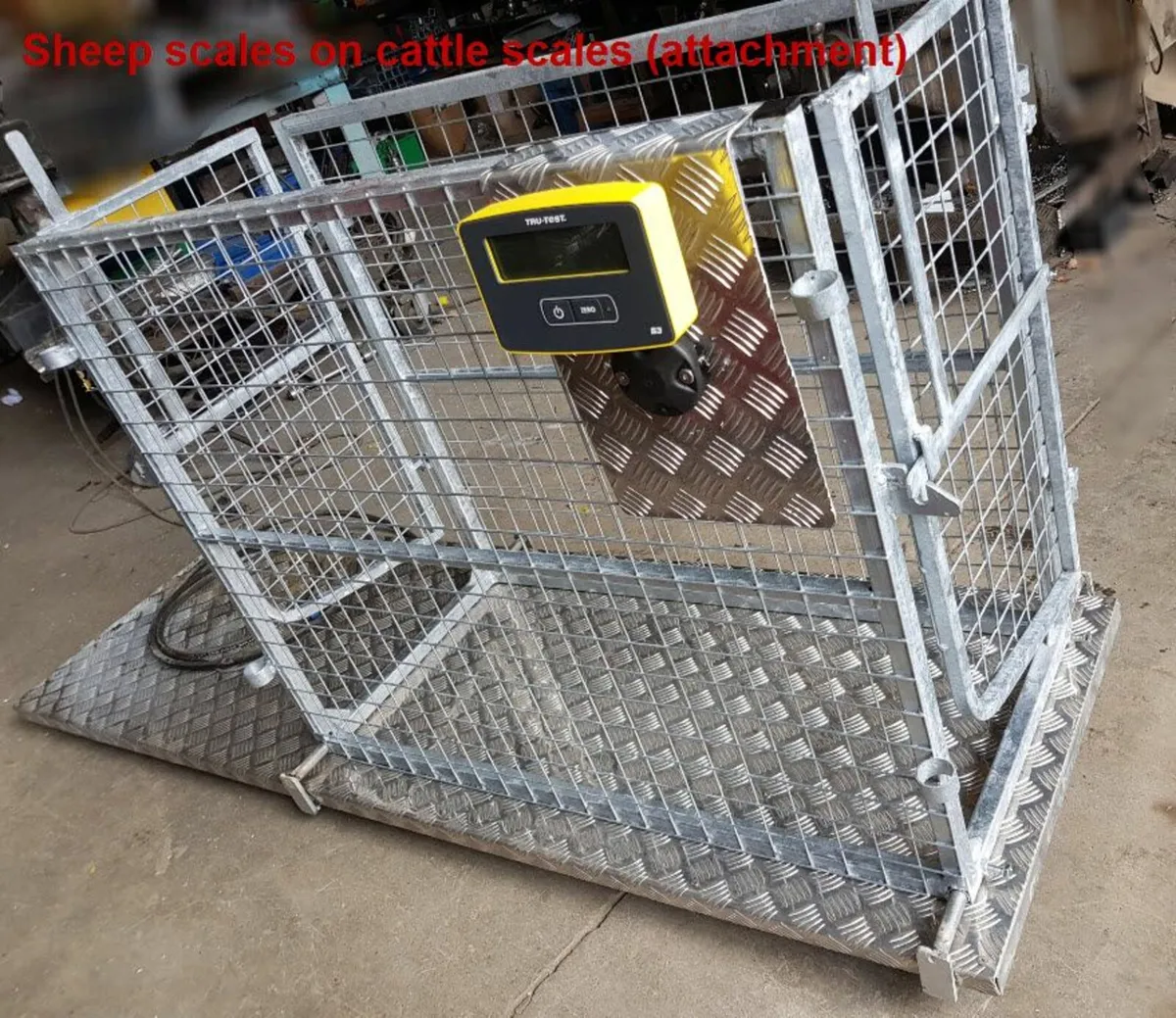 Cattle Weighing scale, custum made - Image 1