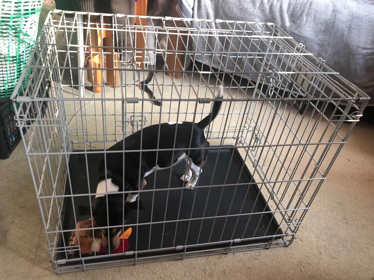 Pet safe wireless system & Dog create - Image 2