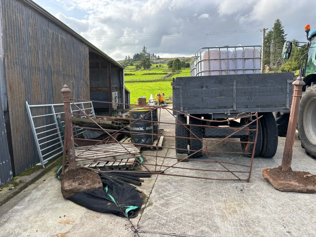 Old style gate and posts - Image 3