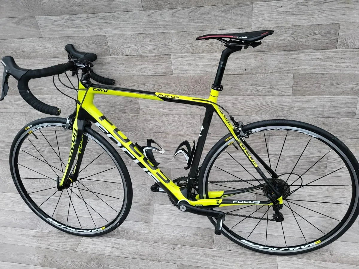 Focus, FULL CARBON - Image 4