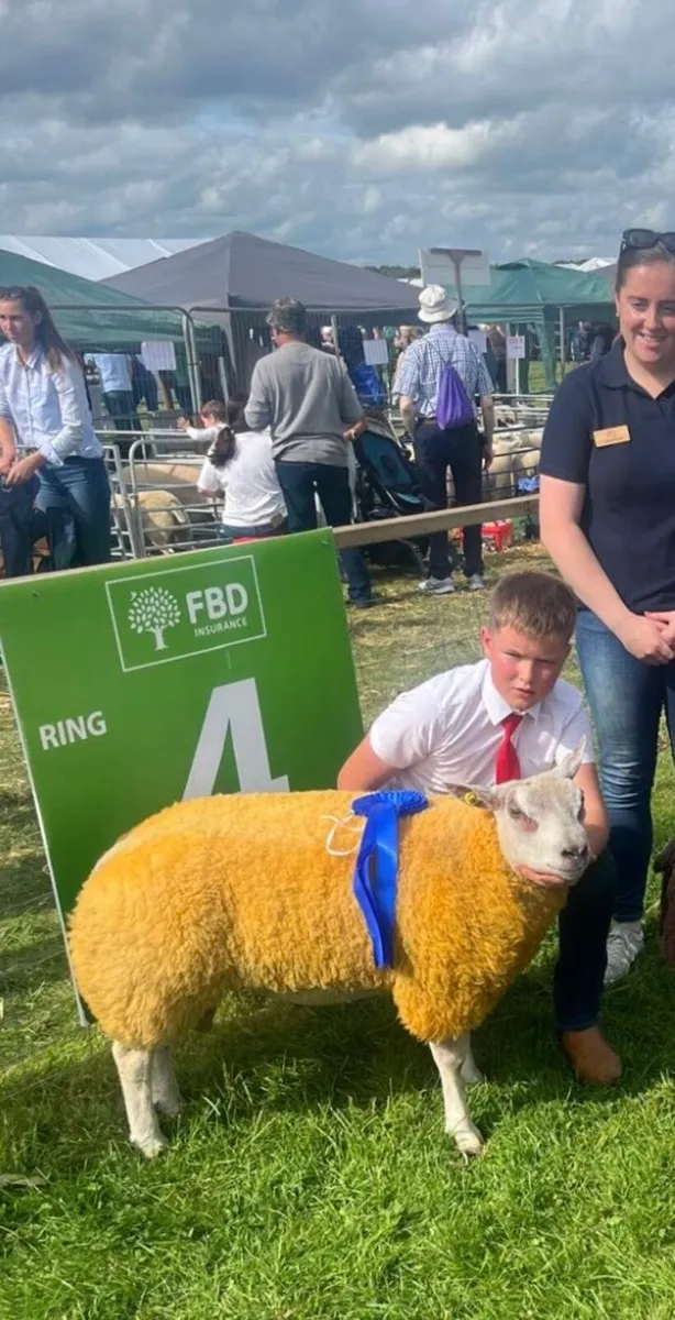 🔥🔥serious roubex ram lamb for sale - Image 1