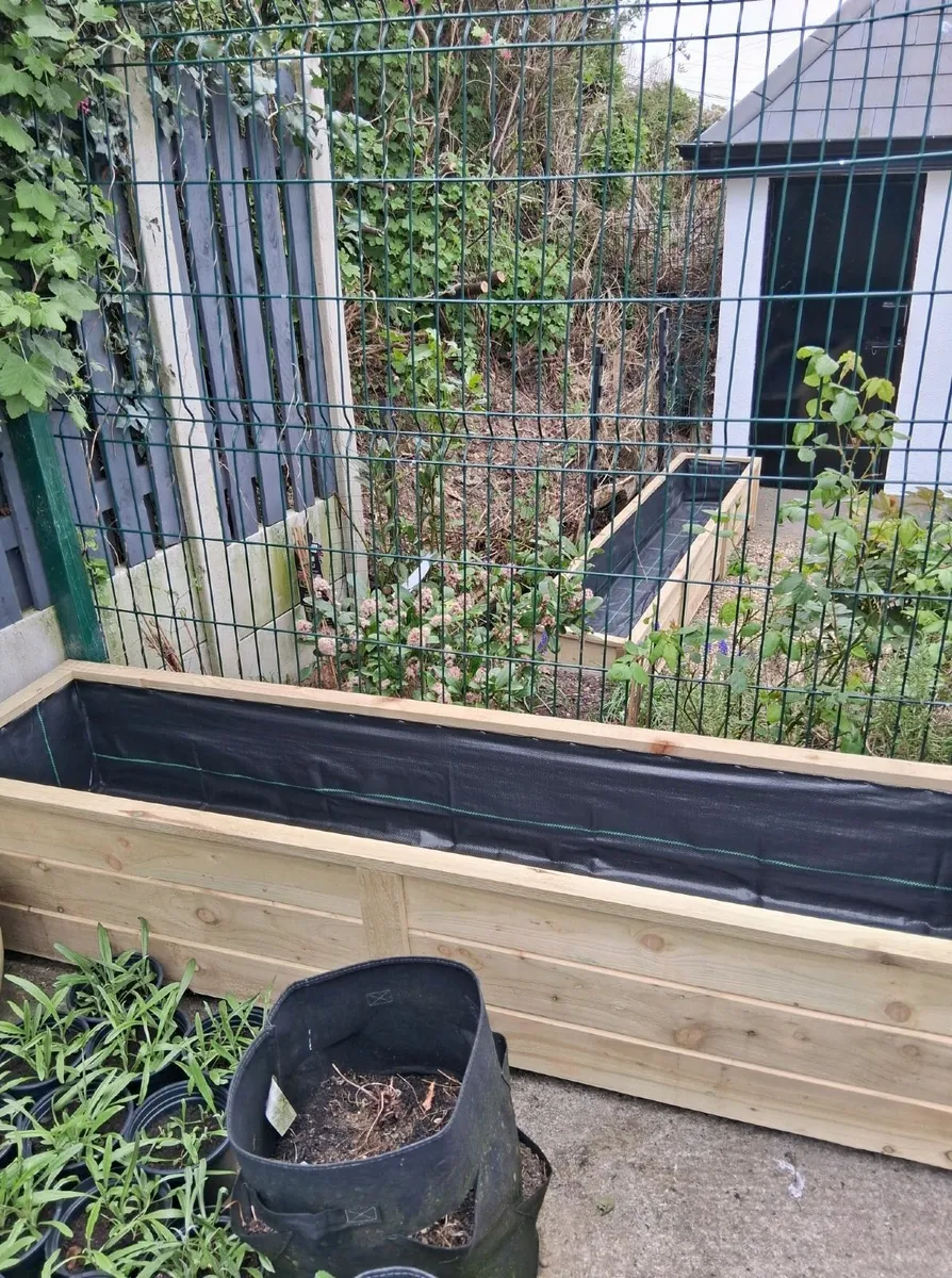 planter - Image 2