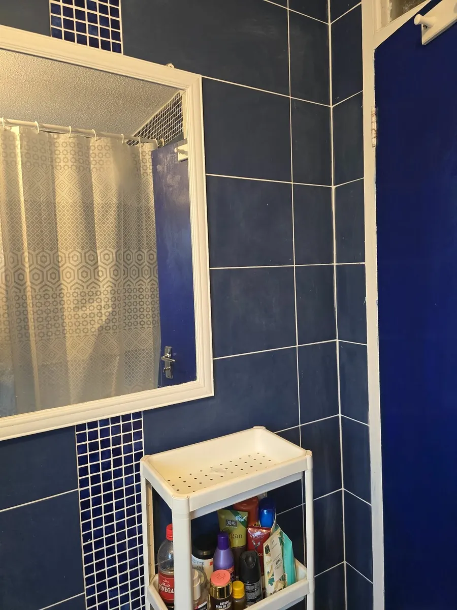 Double room in a beautiful house for rent - Image 1