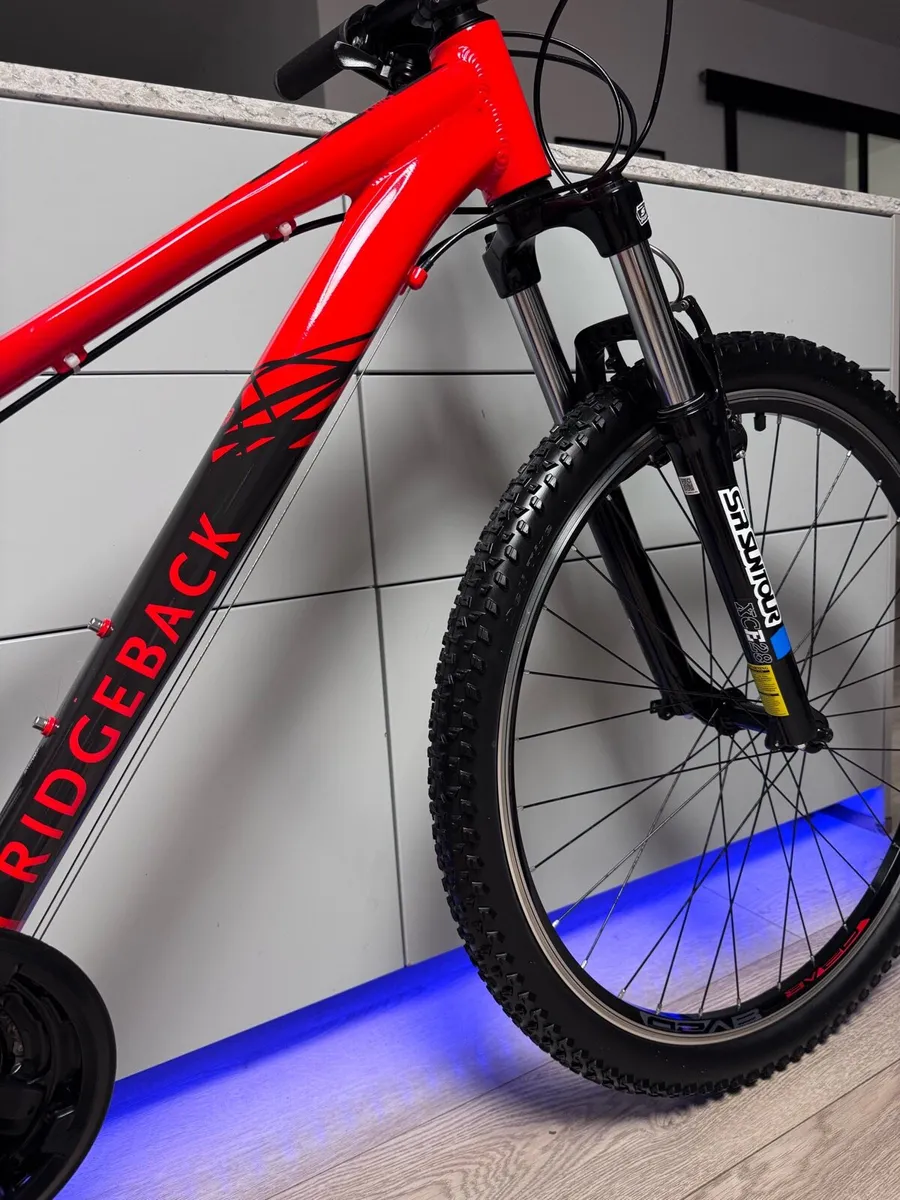 Ridgeback Terrain Mountain Bike - Image 3