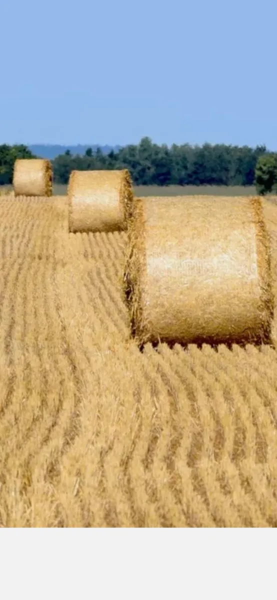 Straw