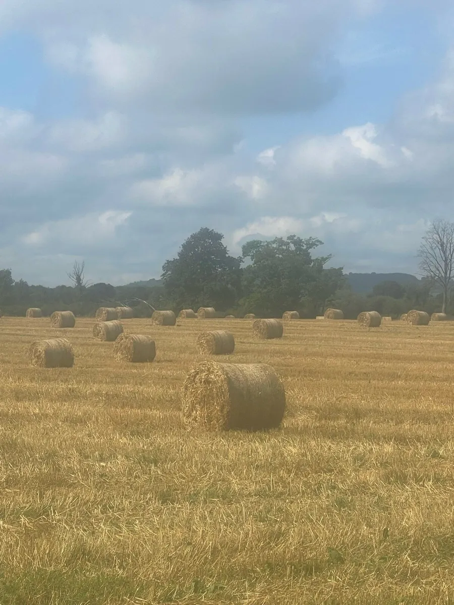 Straw