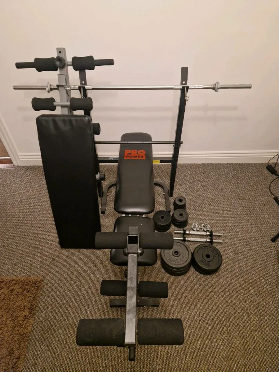 2x bench, bar, weights, dumbbell