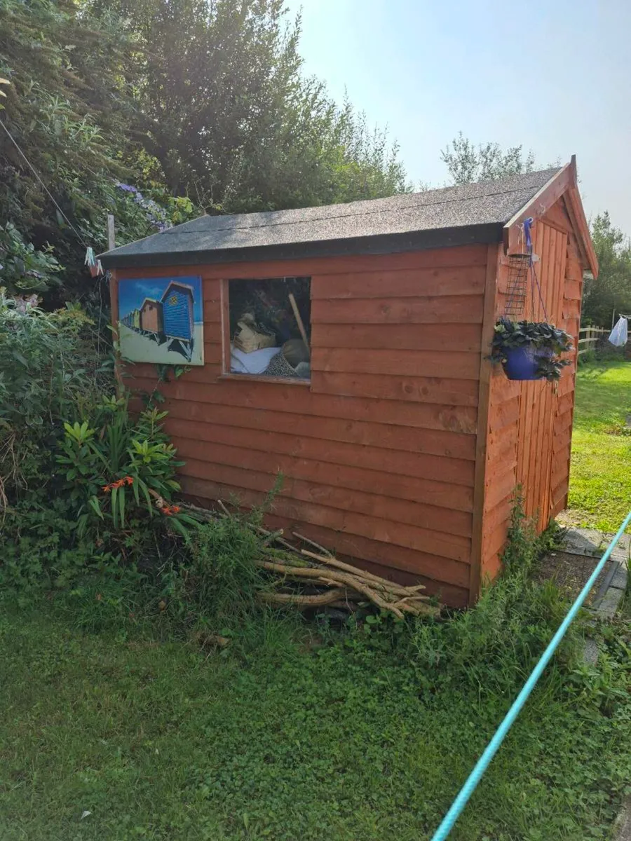 6x8 wooden shed 1 yr old - Image 1