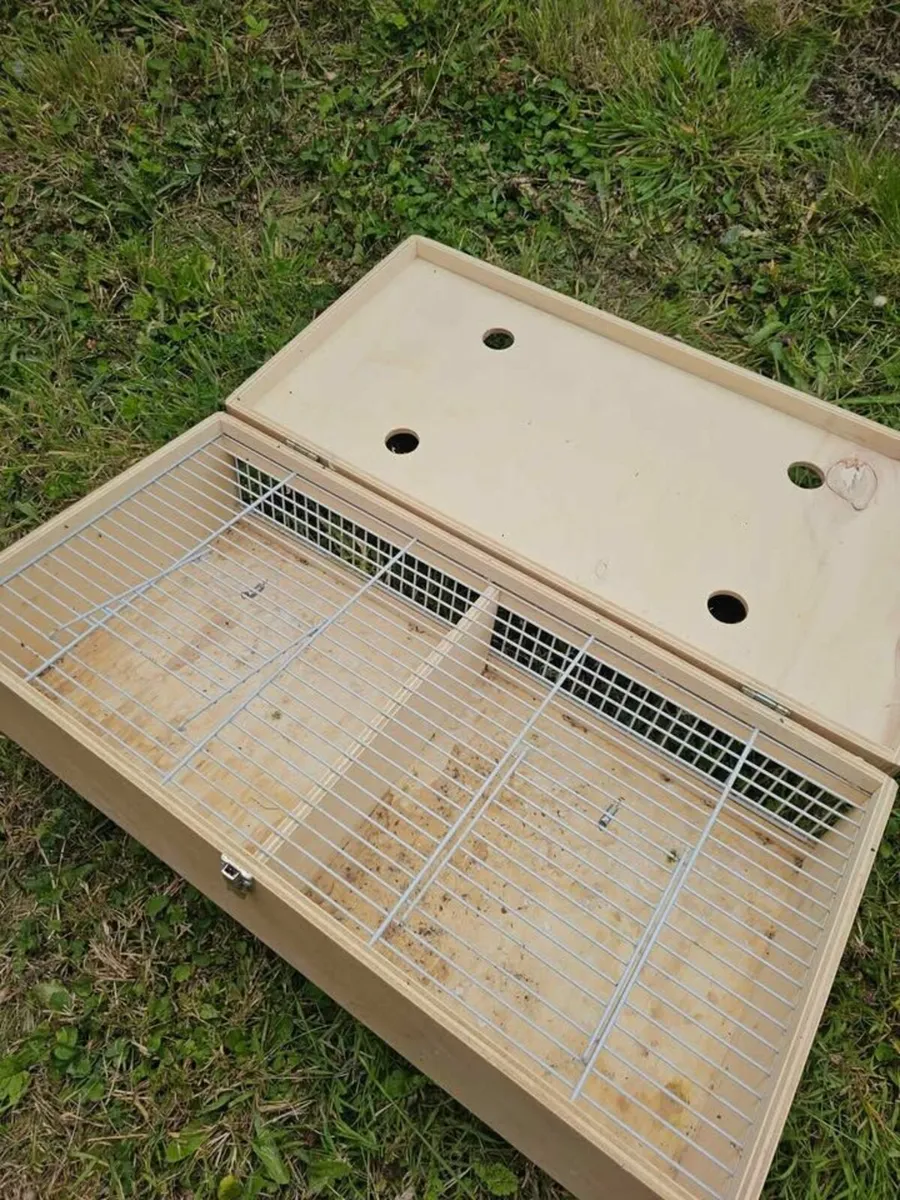 Bird transport boxes - Image 2