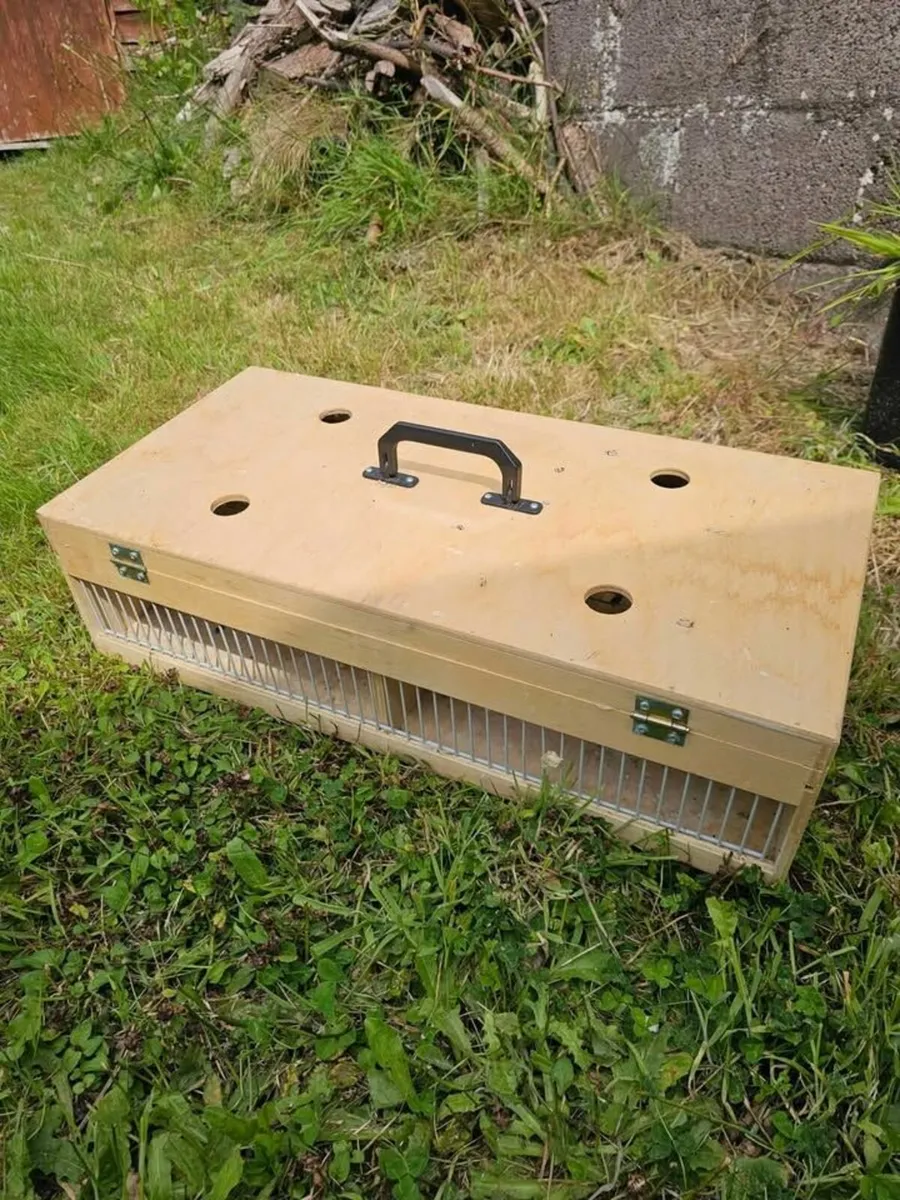 Bird transport boxes - Image 1