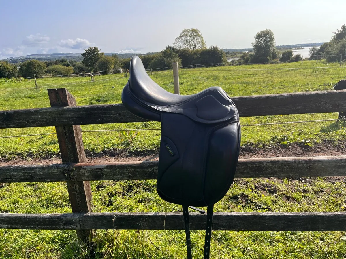 Saddle - Image 1