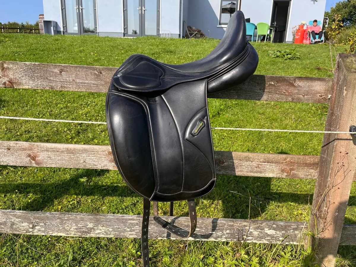 Saddle - Image 2