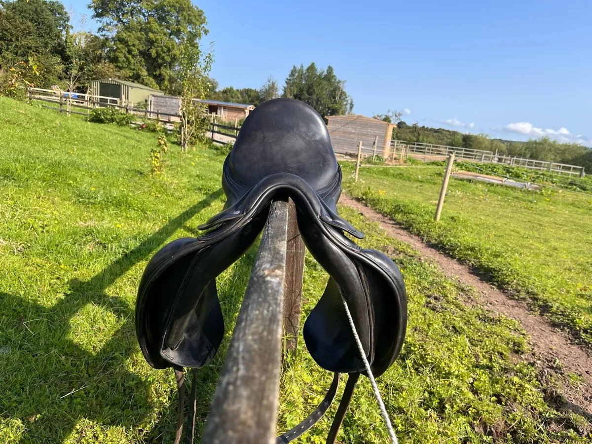 Saddle - Image 3