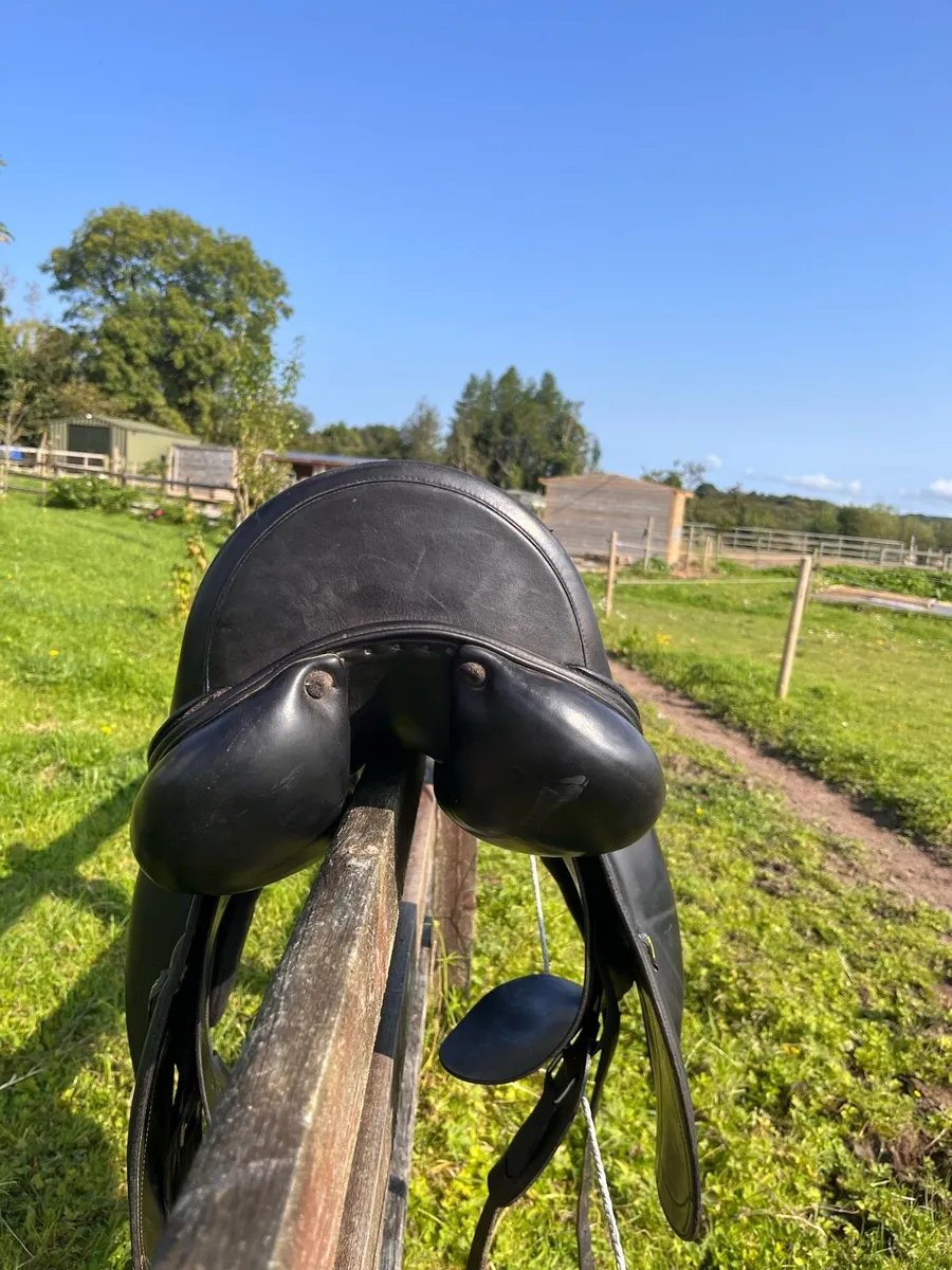 Saddle - Image 4