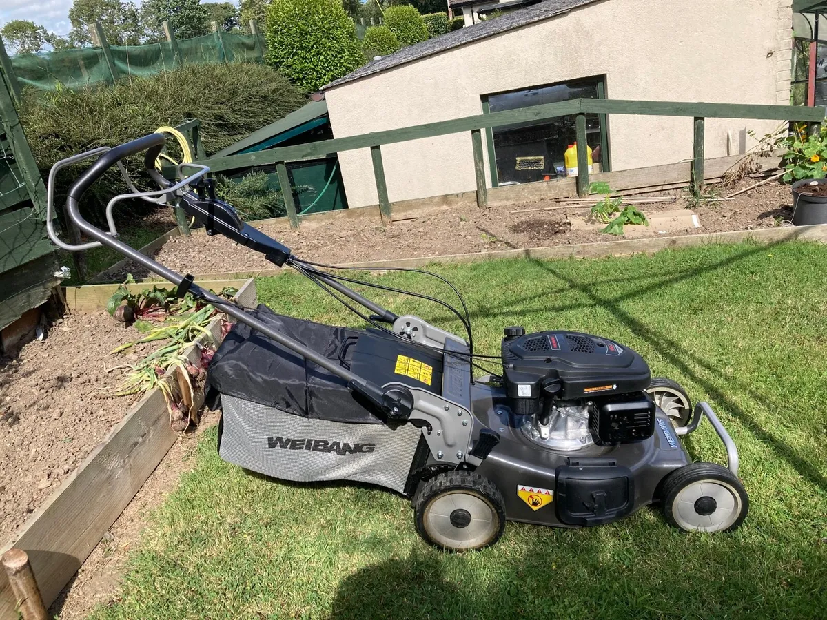 Weibang Lawn mower - Image 2