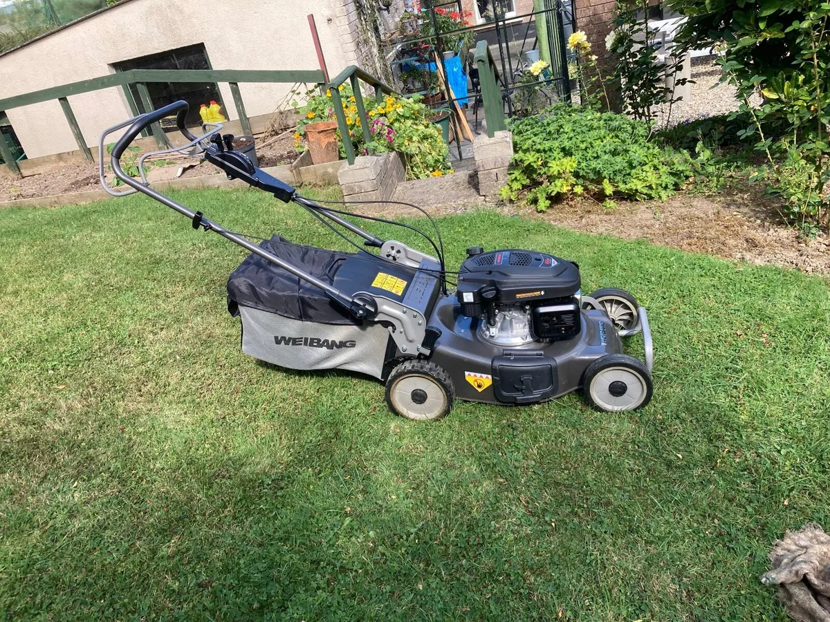 Weibang Lawn mower - Image 4