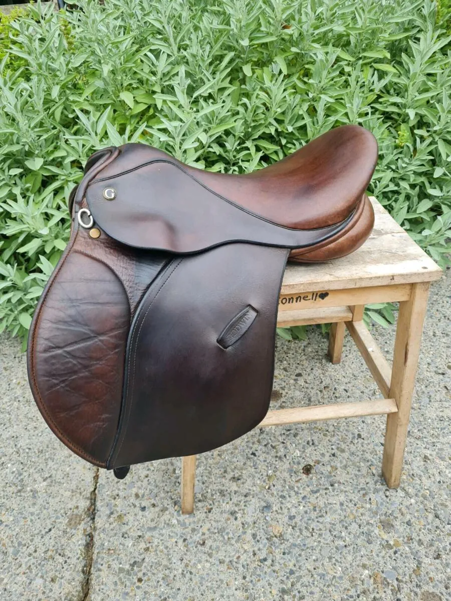 15" Goodwin saddle - Image 1