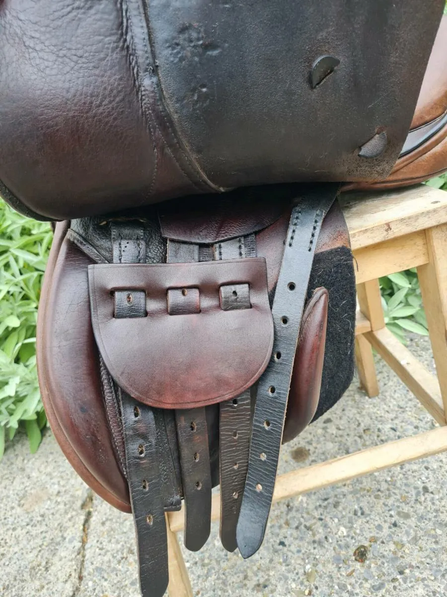 15" Goodwin saddle - Image 4
