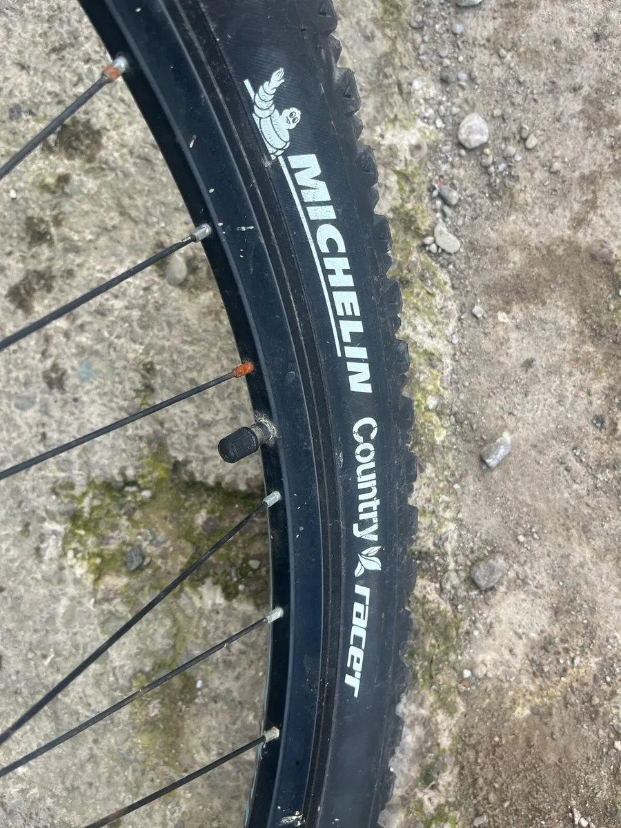 Rommet rambler 29 inch - Image 4