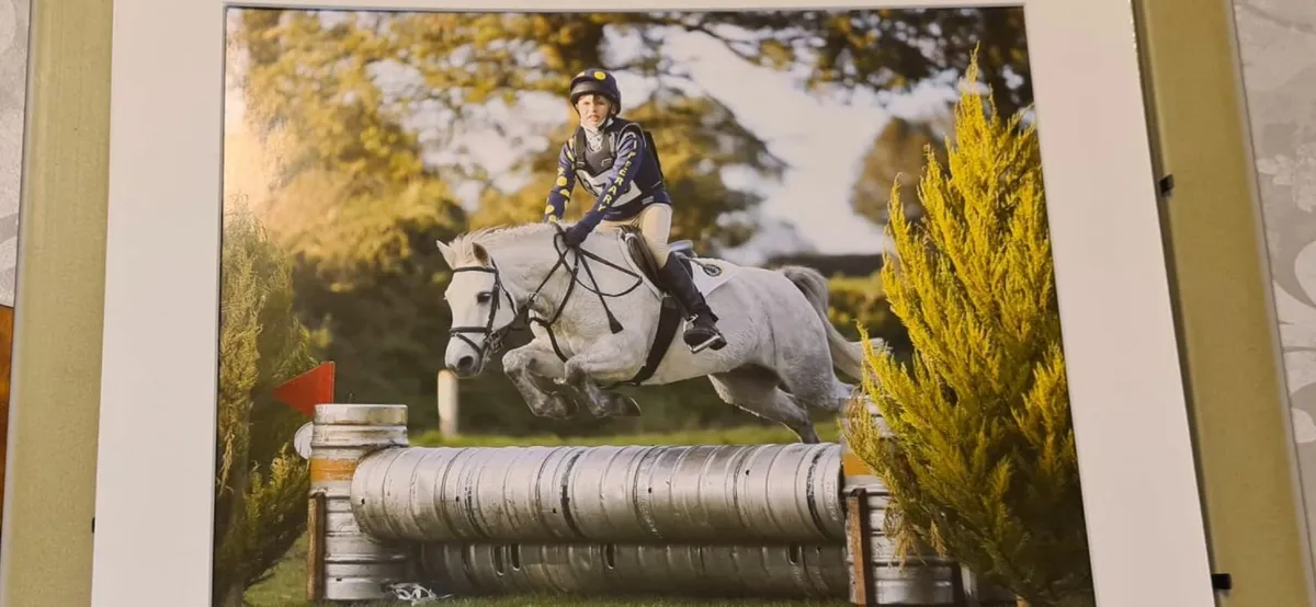 All Rounder Pony Club  12.2 Pony - Image 1