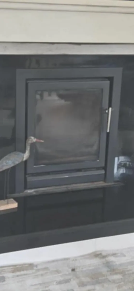Stovax insert stove