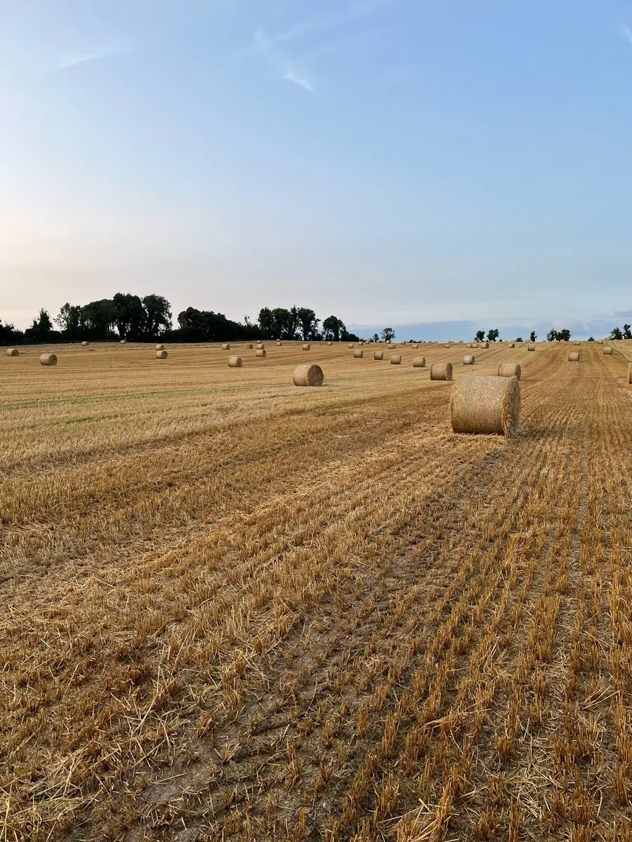 Straw - Image 1