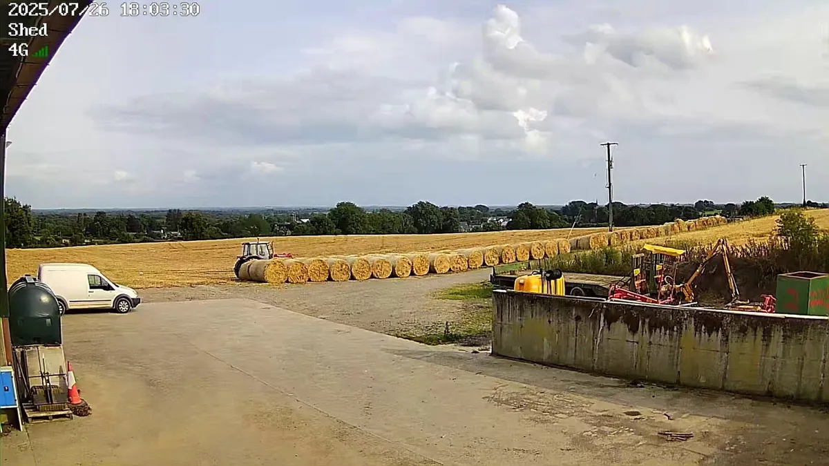Straw - Image 3