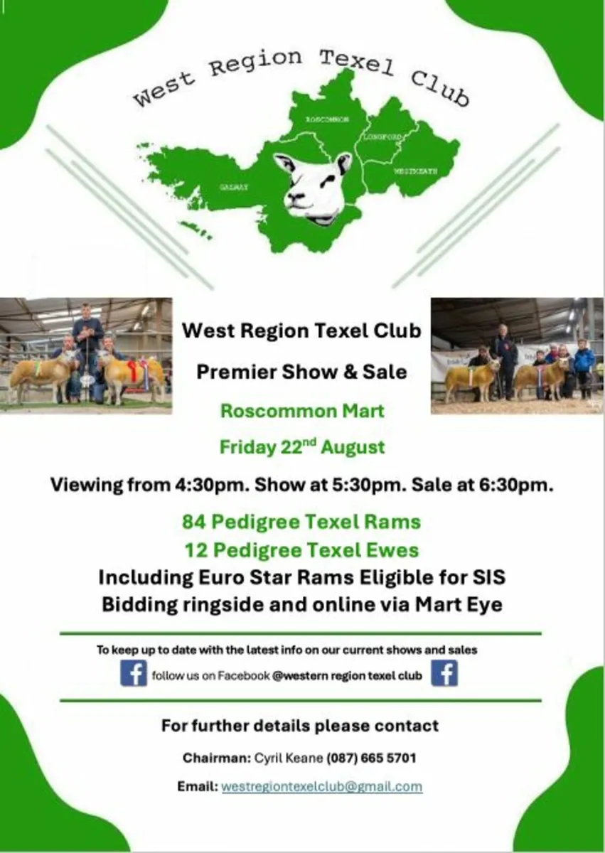 Western region texel club premier sale 22nd August