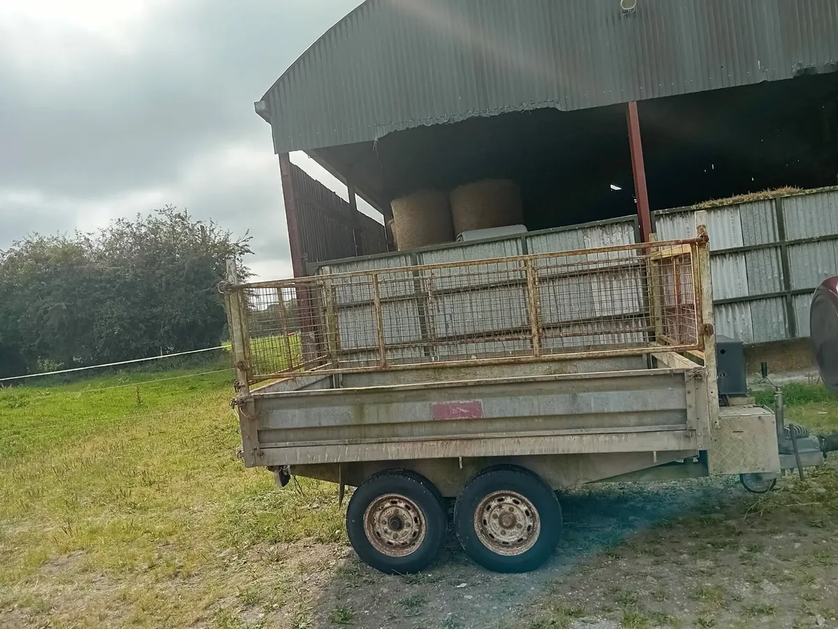 Tipping trailer - Image 1