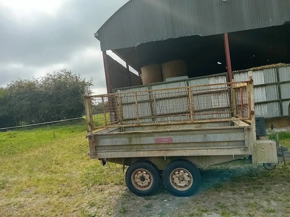 Tipping trailer - Image 2