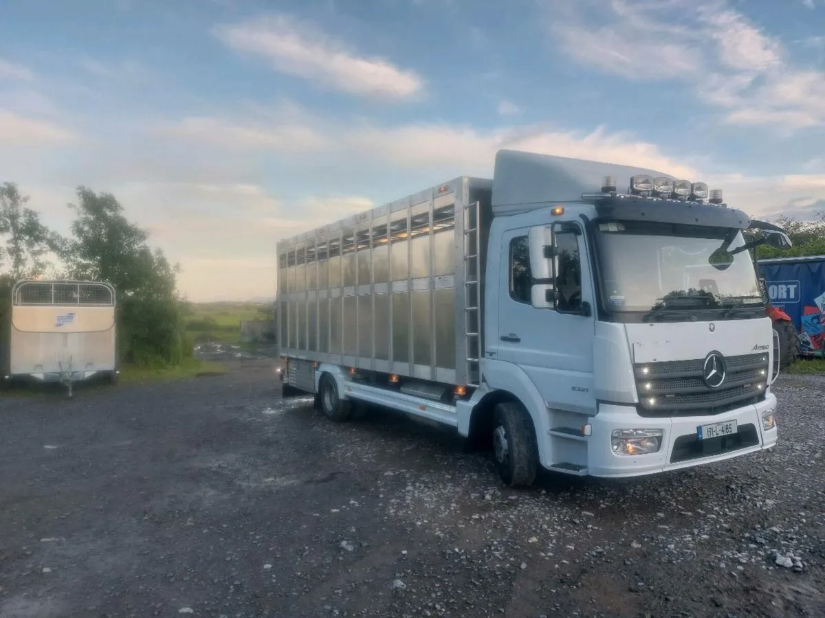 Livestock truck - Image 3