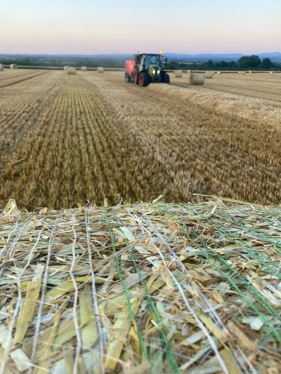 Straw Bales