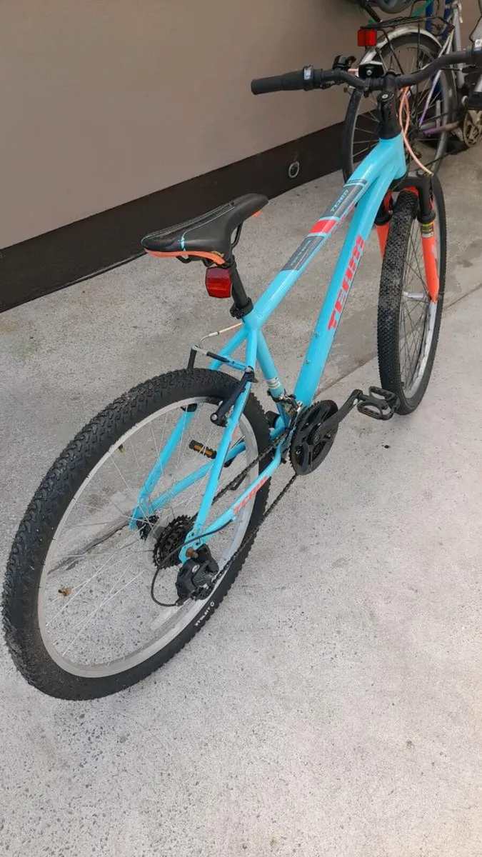 Bike - Image 1