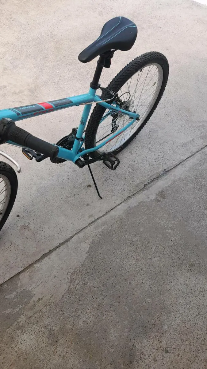 Bike - Image 3