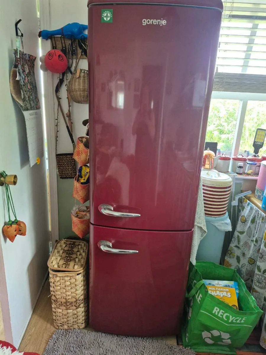 Fridge freezer - Image 1