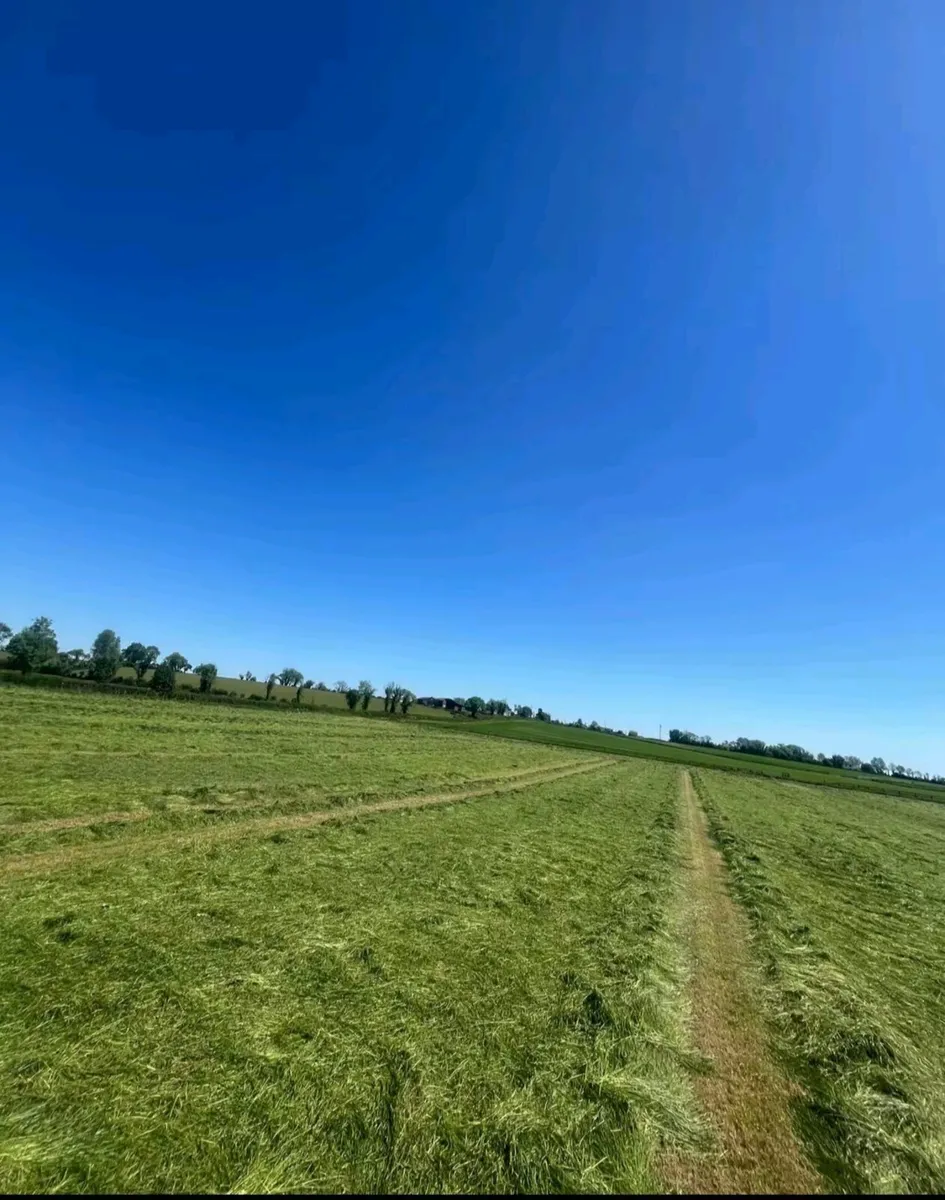 Hay - Image 2