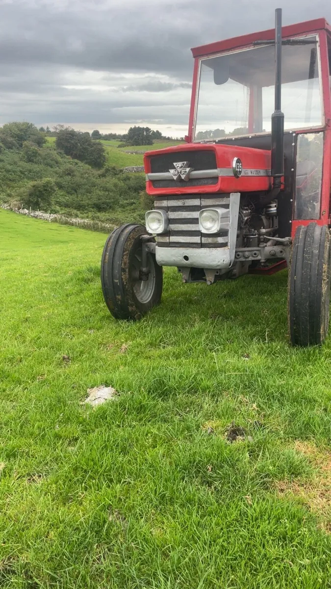Massey Ferguson 135 - Image 3