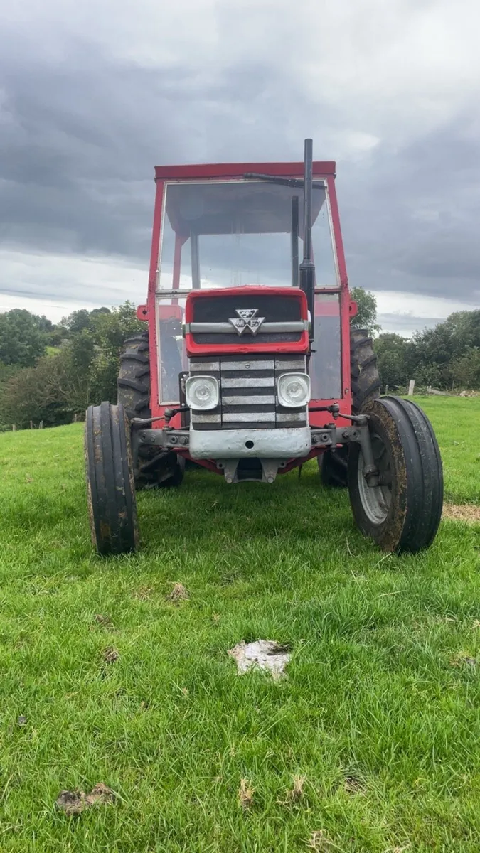 Massey Ferguson 135 - Image 4