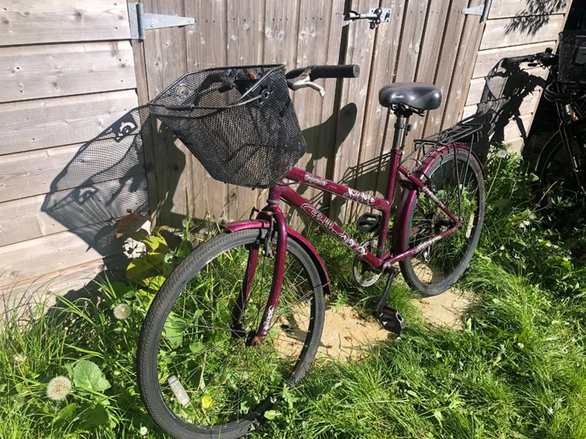 Ladies Raleigh bicycle - Image 1