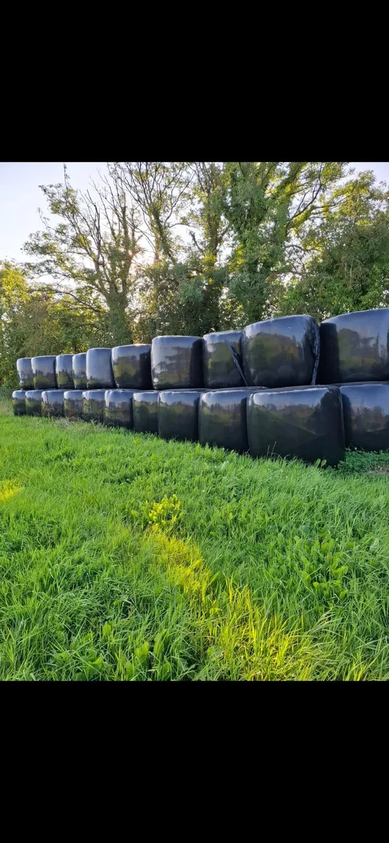 Haylage 50 baled - Image 1