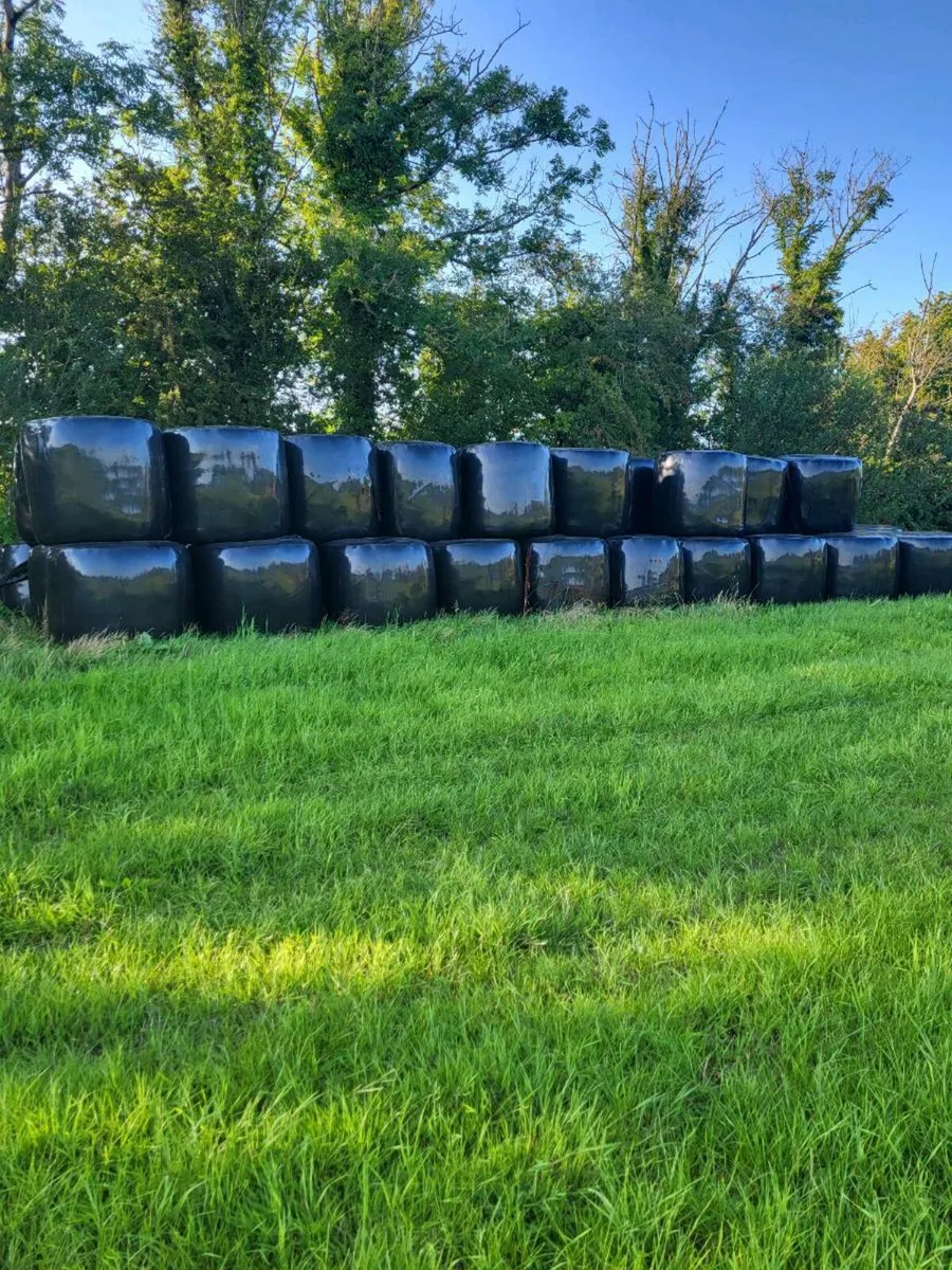 Haylage 50 baled - Image 2