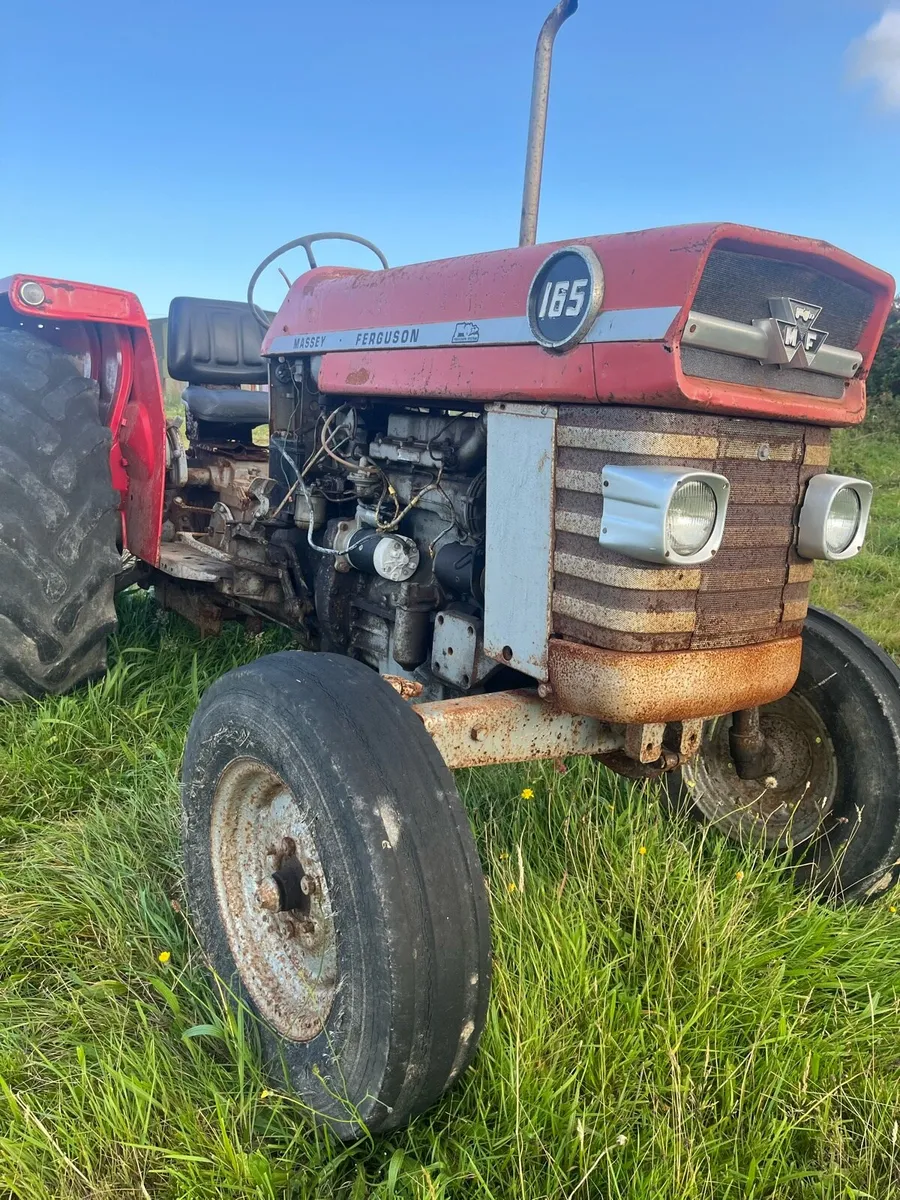 Massey Ferguson 165 - Image 1